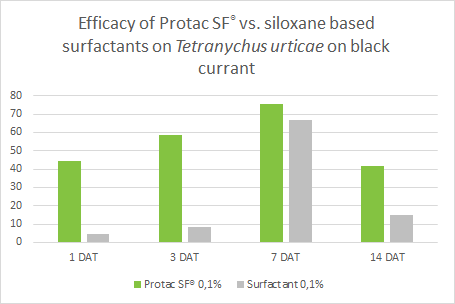 Efficacy of Protac vs. siloxane based surfactants on Tetranychus urticae on black currant